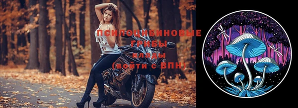 прущая мука Горно-Алтайск