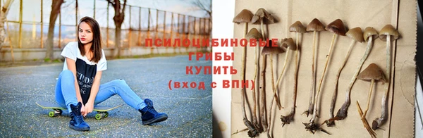 винт Горнозаводск