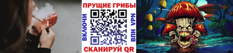 продажа наркотиков  Звенигород  Псилоцибиновые грибы прущие грибы 